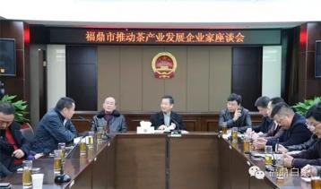 福鼎市召開推動茶產業發展企業家座談會