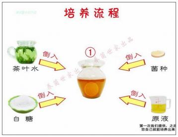 紅茶菌飲料主要營養成分及飲用方法
