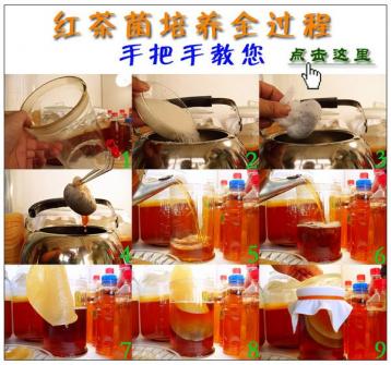 家庭如何培養紅茶菌|紅茶菌飲料的作用