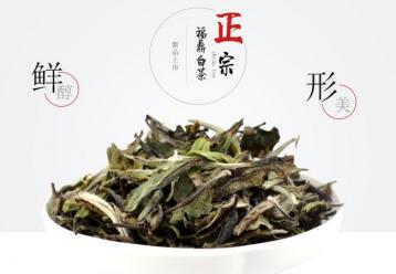 白牡丹白茶簡介|福建白茶種類