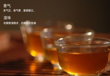 普洱茶與安化黑茶的區別|黑茶知識