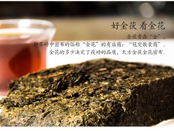 安化黑茶茯磚茶的“發花”工藝|黑茶制作