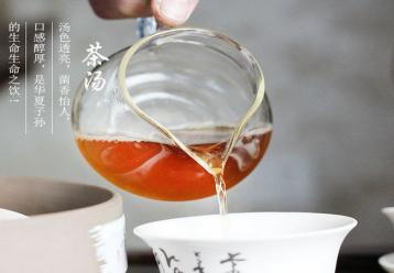 安化黑茶為什么能降三高、治痛風、抗氧化？