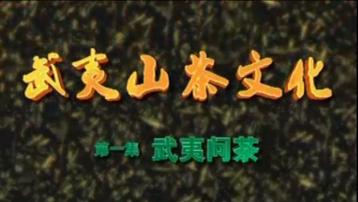 武夷山茶文化：武夷問茶|《走遍中國》
