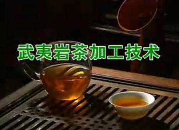 武夷巖茶加工技術|茶葉種植加工技術視頻