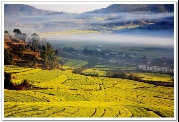 云南臨滄：普洱茶的故鄉|普洱茶發源產地