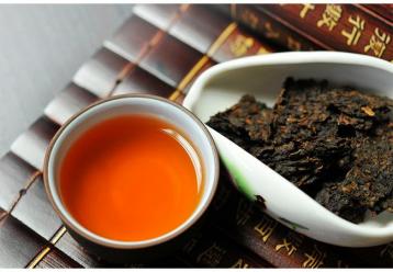 如何分辨景邁古樹茶與臺地茶？|普洱茶選購