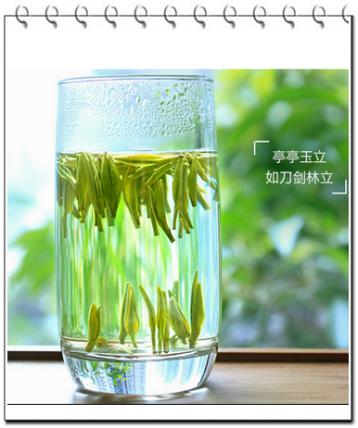 金壇雀舌炒制工序|綠茶炒制