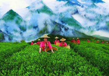 2016廣州茶博會|2016中國（廣州）高端茶產業展覽會
