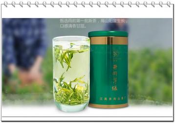 江西名茶：井岡翠綠茶