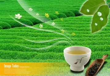 綠茶常溫生物保鮮劑及其應用方法