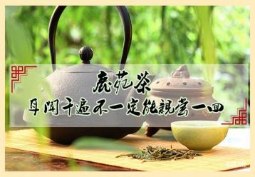 鹿苑茶:遠安黃茶制作工藝