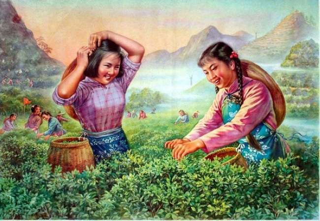 中國茶葉