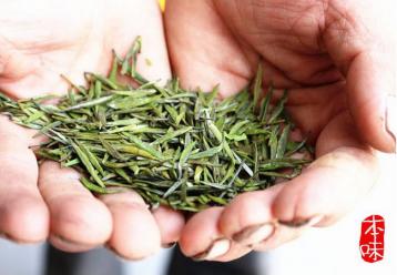 綠茶簡介|茶葉種類