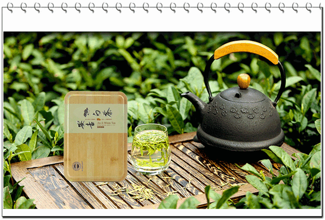 安吉白茶的保鮮和保存方法與品質變化的條件