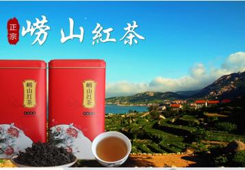 嶗山紅茶價格|青島嶗山紅茶價格