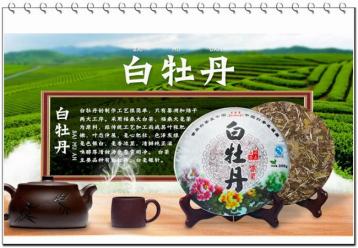 2016福鼎白茶白牡丹茶價格表|白茶品牌報價